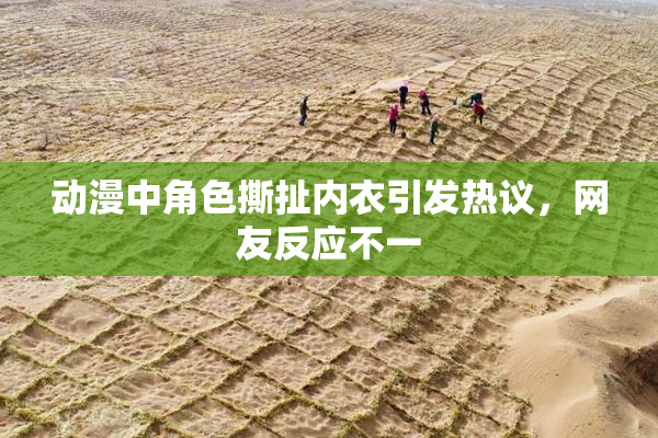 动漫中角色撕扯内衣引发热议，网友反应不一