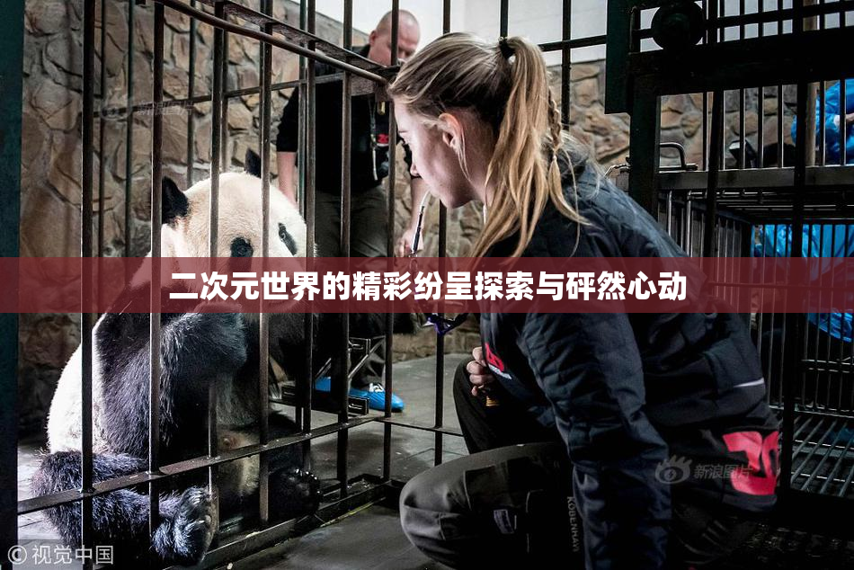 二次元世界的精彩纷呈探索与砰然心动