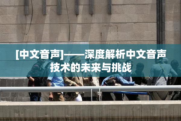 [中文音声]——深度解析中文音声技术的未来与挑战