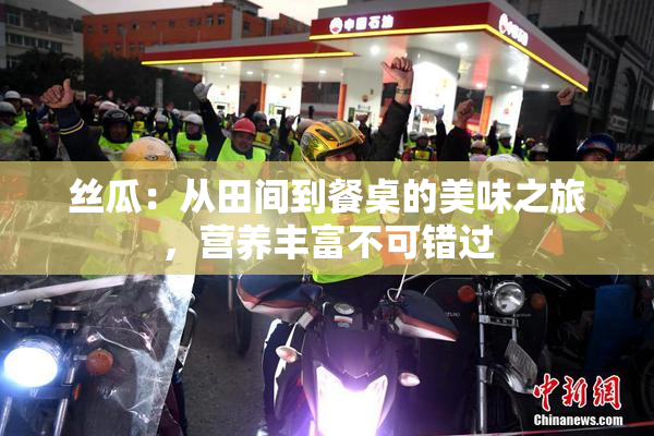 丝瓜：从田间到餐桌的美味之旅，营养丰富不可错过