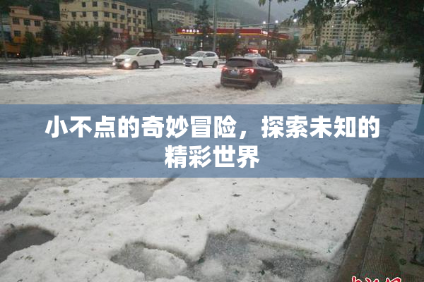 小不点的奇妙冒险，探索未知的精彩世界