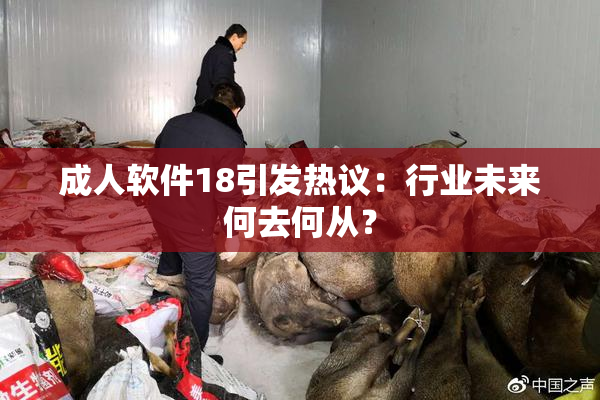 成人软件18引发热议：行业未来何去何从？