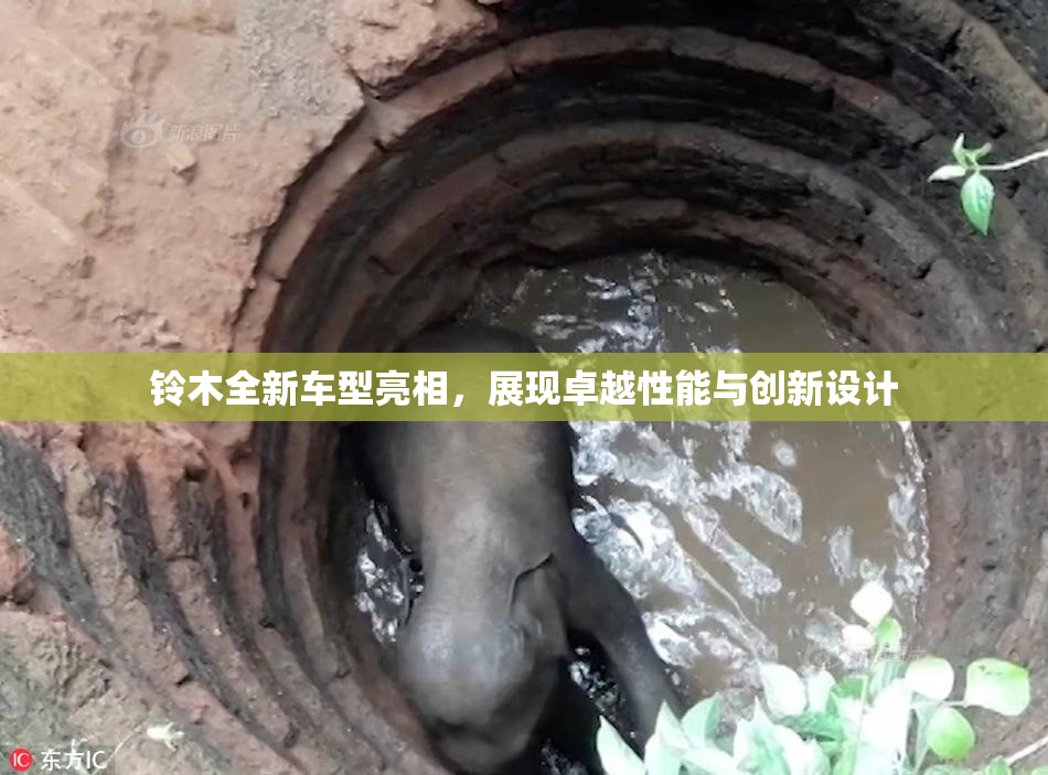 铃木全新车型亮相，展现卓越性能与创新设计