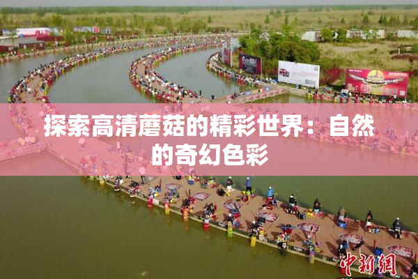 探索高清蘑菇的精彩世界：自然的奇幻色彩