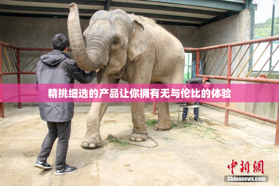 精挑细选的产品让你拥有无与伦比的体验