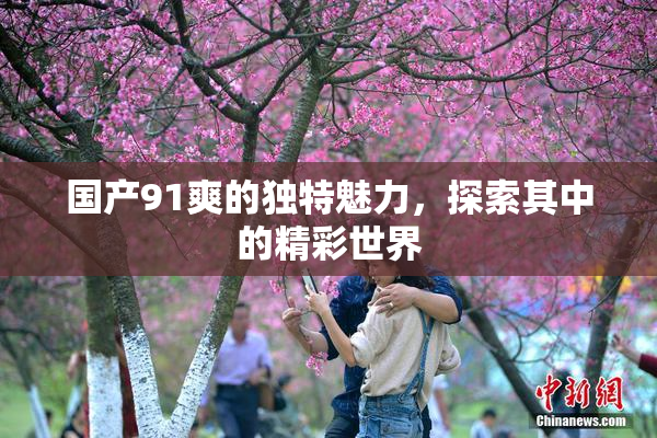 国产91爽的独特魅力，探索其中的精彩世界