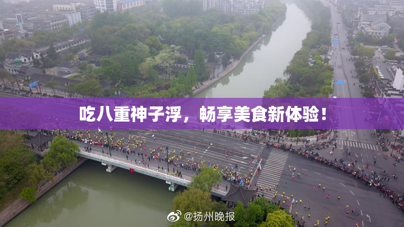 吃八重神子浮，畅享美食新体验！