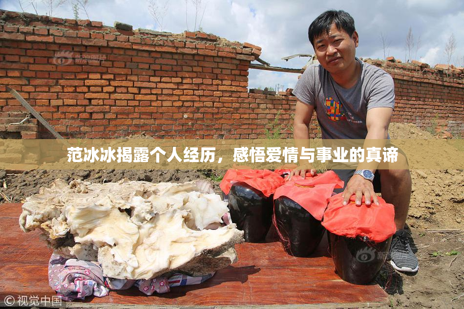 范冰冰揭露个人经历，感悟爱情与事业的真谛