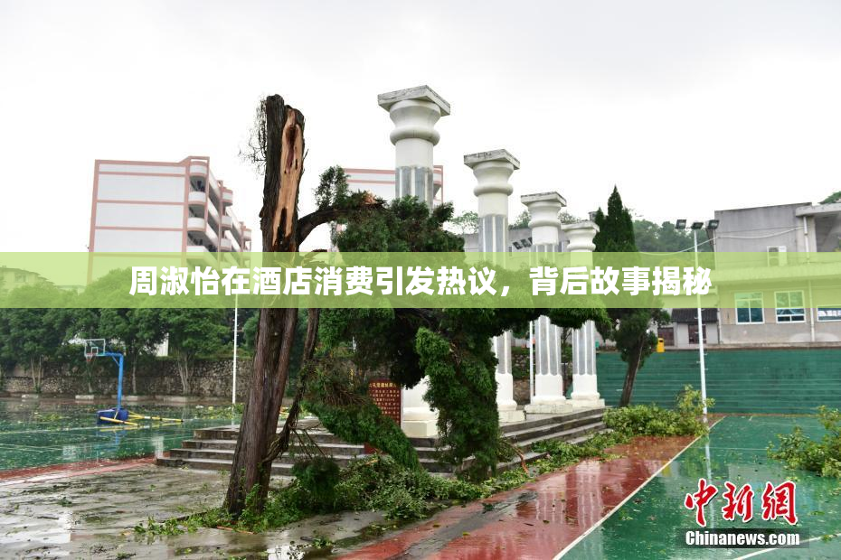 周淑怡在酒店消费引发热议，背后故事揭秘