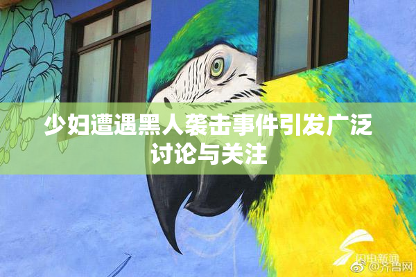 少妇遭遇黑人袭击事件引发广泛讨论与关注