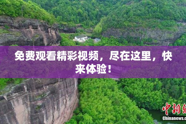 免费观看精彩视频，尽在这里，快来体验！