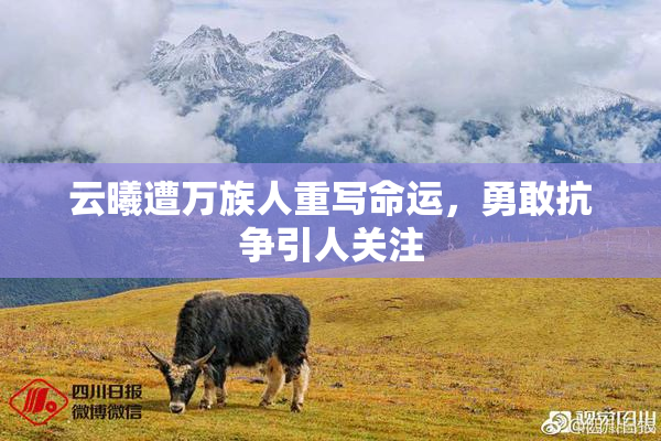 云曦遭万族人重写命运，勇敢抗争引人关注