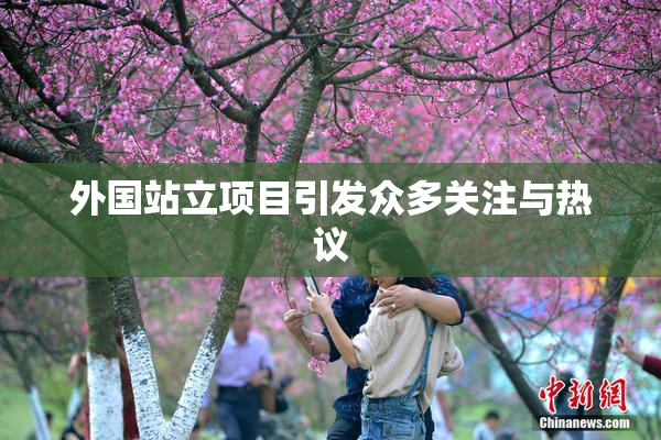 外国站立项目引发众多关注与热议