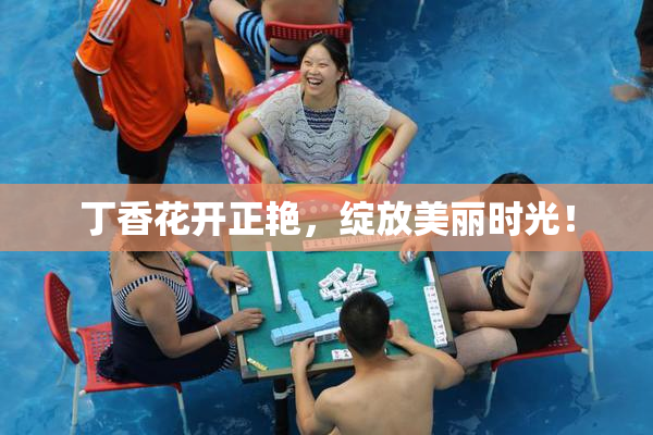 丁香花开正艳，绽放美丽时光！