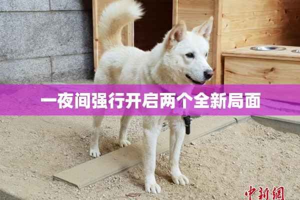 一夜间强行开启两个全新局面