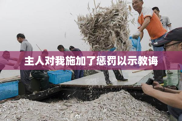 主人对我施加了惩罚以示教诲