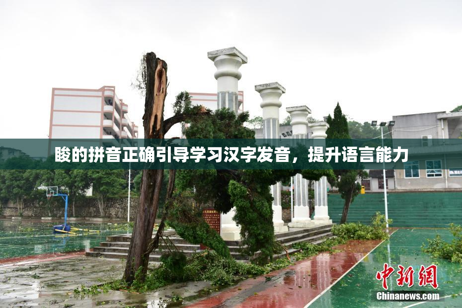 睃的拼音正确引导学习汉字发音，提升语言能力