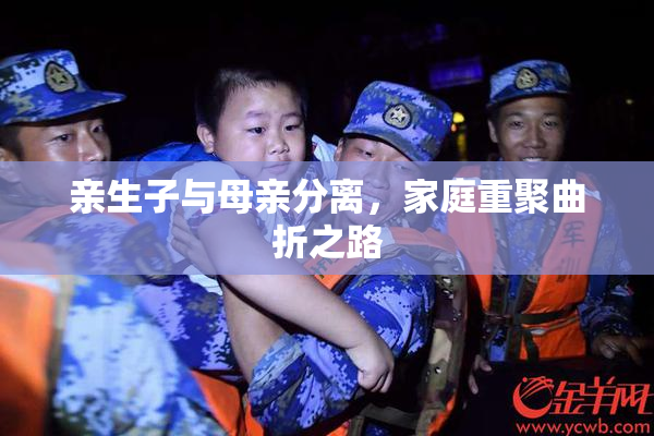 亲生子与母亲分离，家庭重聚曲折之路