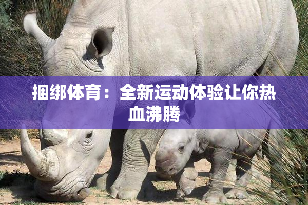 捆绑体育：全新运动体验让你热血沸腾
