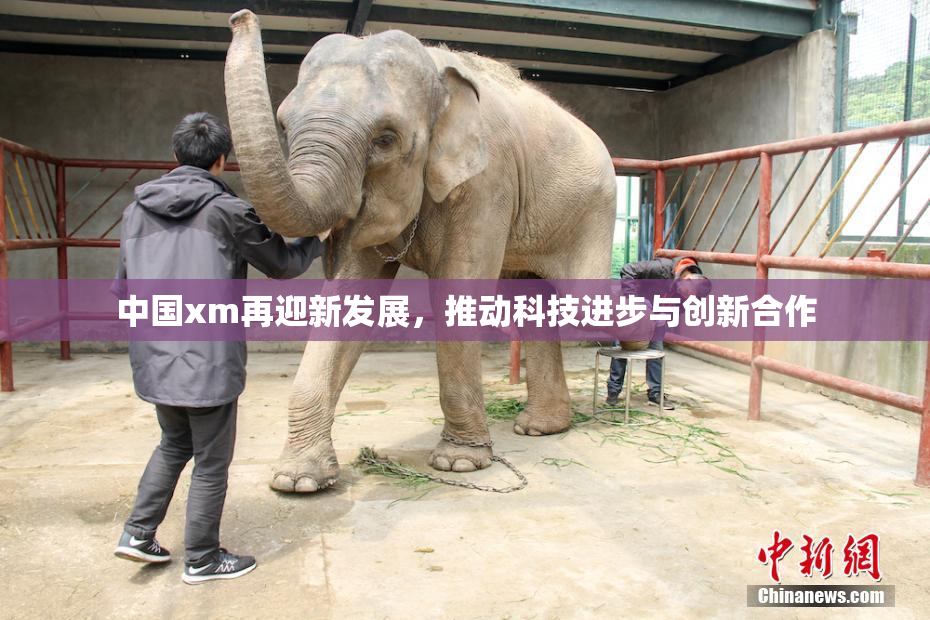 中国xm再迎新发展，推动科技进步与创新合作