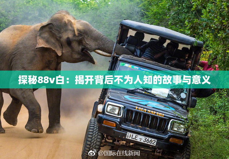 探秘88v白：揭开背后不为人知的故事与意义