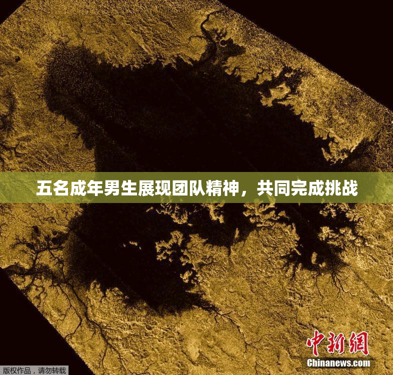 五名成年男生展现团队精神，共同完成挑战