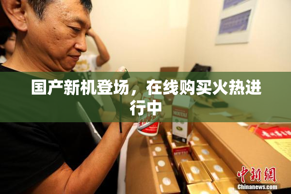 国产新机登场，在线购买火热进行中