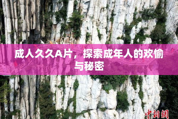 成人久久A片，探索成年人的欢愉与秘密