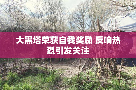 大黑塔荣获自我奖励 反响热烈引发关注