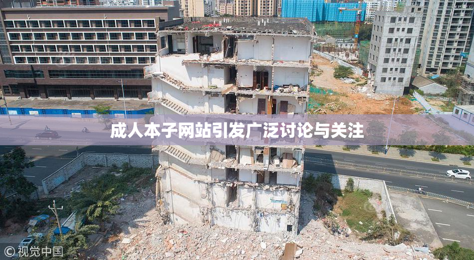 成人本子网站引发广泛讨论与关注