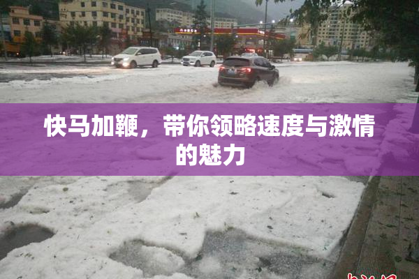 快马加鞭，带你领略速度与激情的魅力