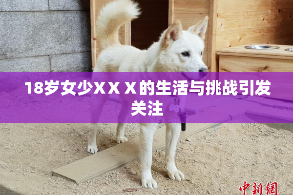 18岁女少XⅩⅩ的生活与挑战引发关注