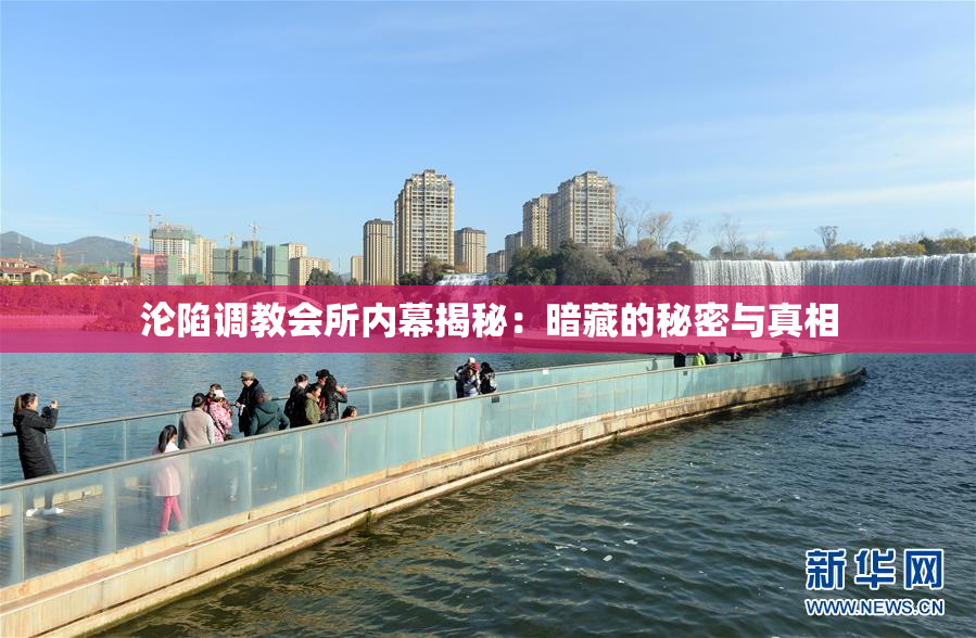 沦陷调教会所内幕揭秘：暗藏的秘密与真相