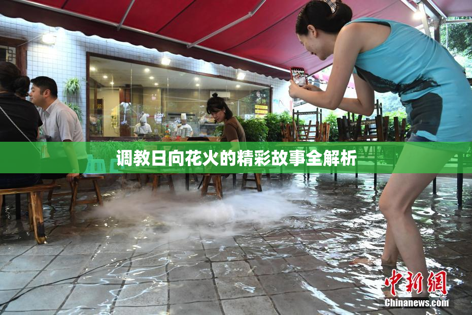 调教日向花火的精彩故事全解析
