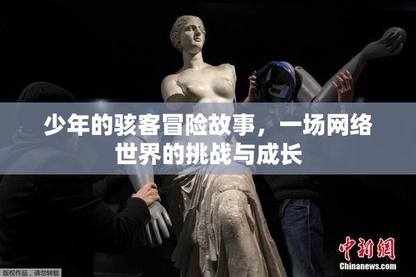 少年的骇客冒险故事，一场网络世界的挑战与成长