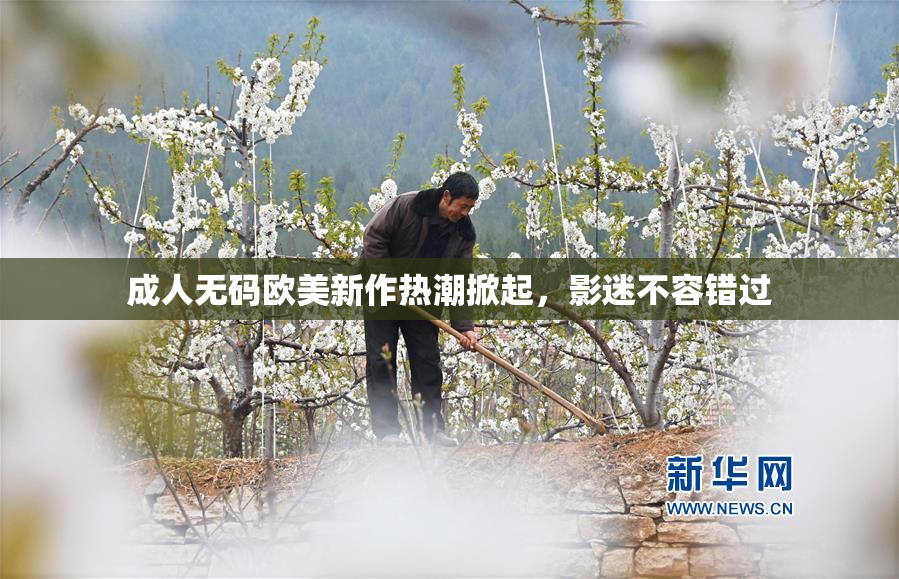成人无码欧美新作热潮掀起，影迷不容错过