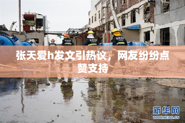 张天爱h发文引热议，网友纷纷点赞支持