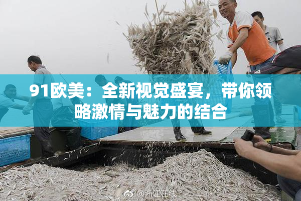 91欧美：全新视觉盛宴，带你领略激情与魅力的结合