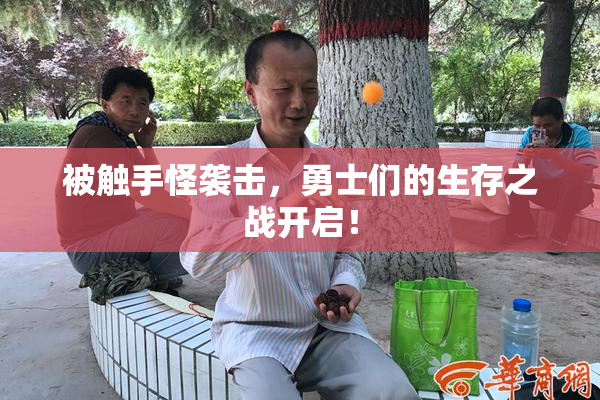 被触手怪袭击，勇士们的生存之战开启！