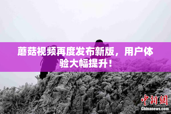 蘑菇视频再度发布新版，用户体验大幅提升！