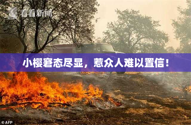 小樱窘态尽显，惹众人难以置信！