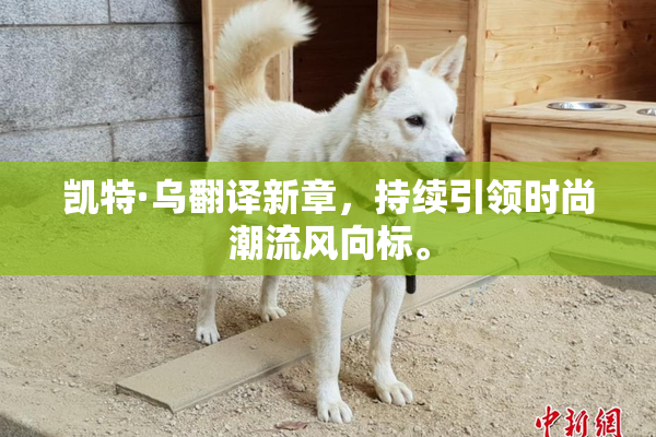 凯特·乌翻译新章，持续引领时尚潮流风向标。