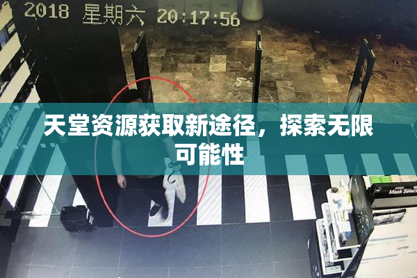 天堂资源获取新途径，探索无限可能性