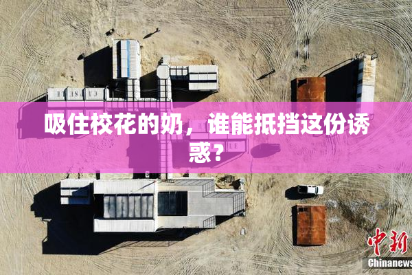 吸住校花的奶，谁能抵挡这份诱惑？