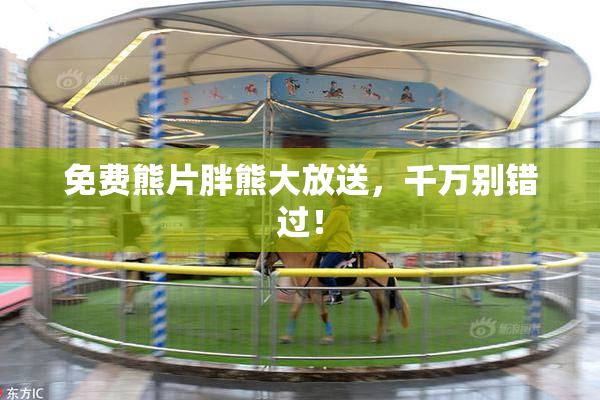 免费熊片胖熊大放送，千万别错过！
