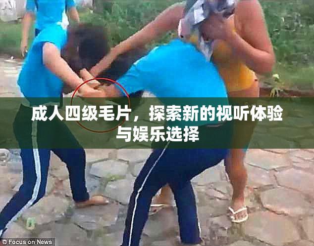 成人四级毛片，探索新的视听体验与娱乐选择