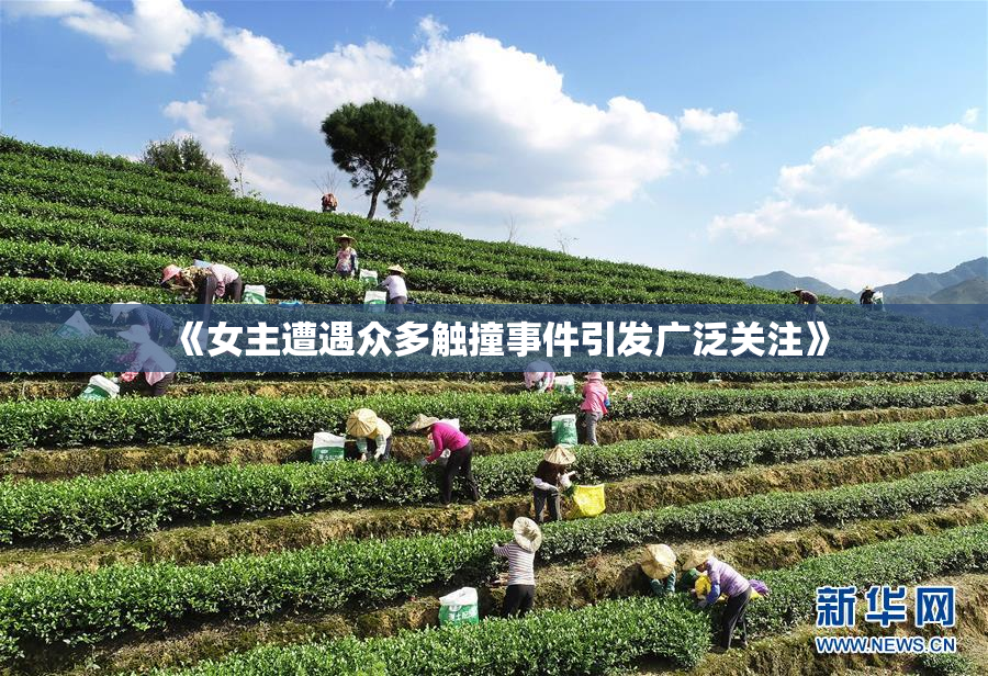 《女主遭遇众多触撞事件引发广泛关注》