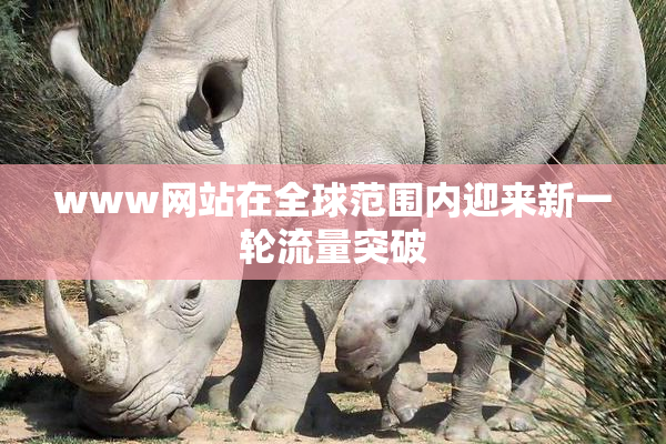 www网站在全球范围内迎来新一轮流量突破