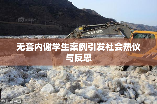 无套内谢学生案例引发社会热议与反思