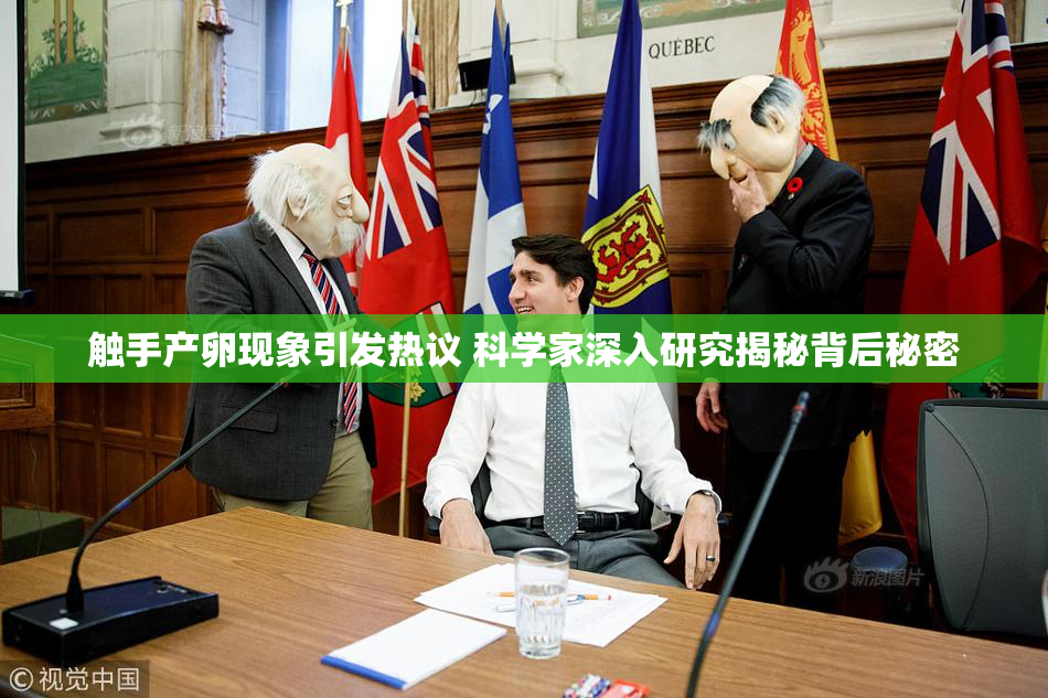 触手产卵现象引发热议 科学家深入研究揭秘背后秘密